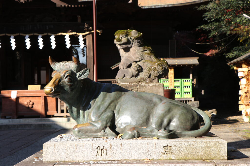 谷保天満宮_撫で牛